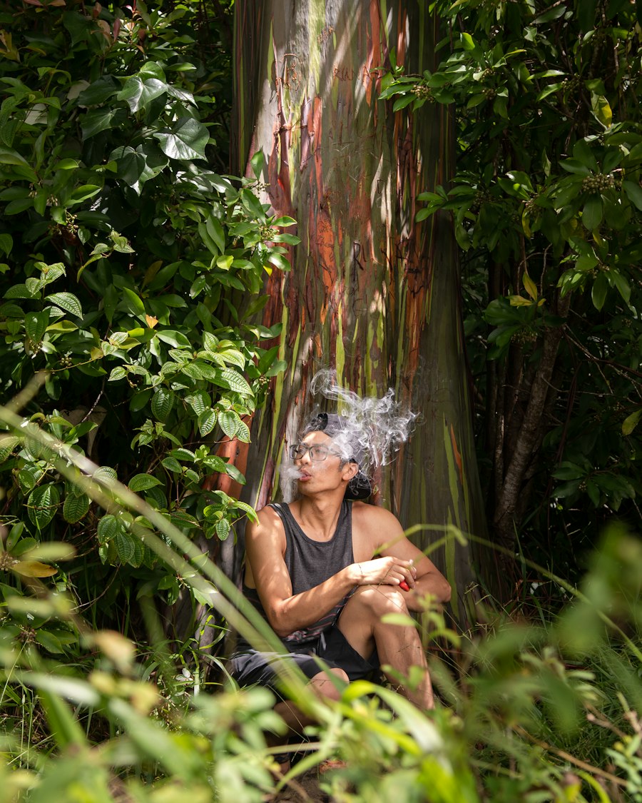 vape pen