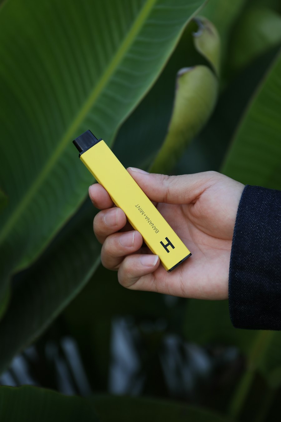 vape kit