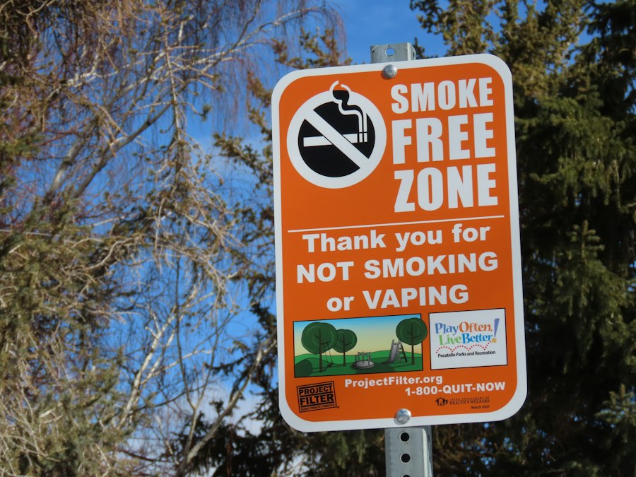 vape pen